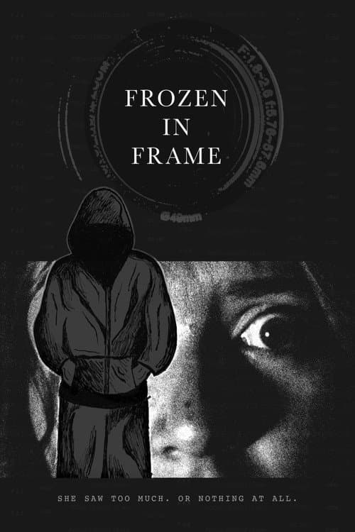 Frozen in Frame — poster