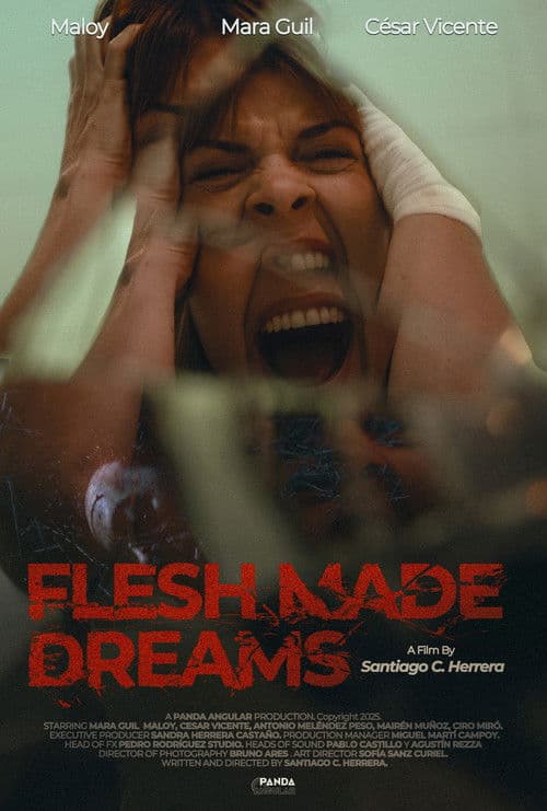Sueños de Carne — poster