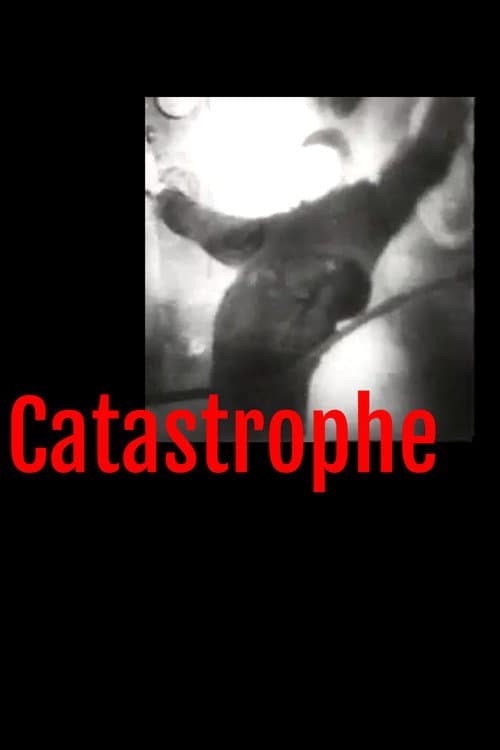 Catastrophe — poster
