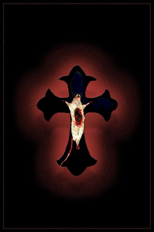 Fungi — poster
