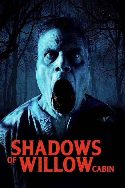 Shadows of Willow Cabin — poster