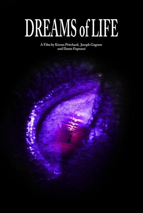 Dreams of Life — poster