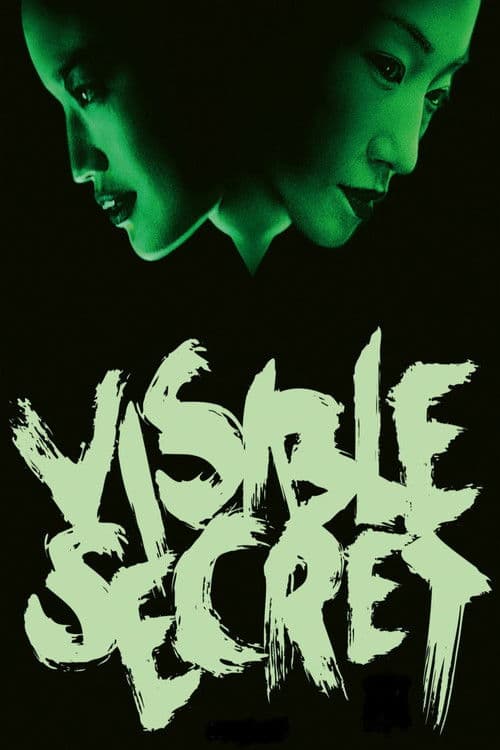 Visible Secret — poster