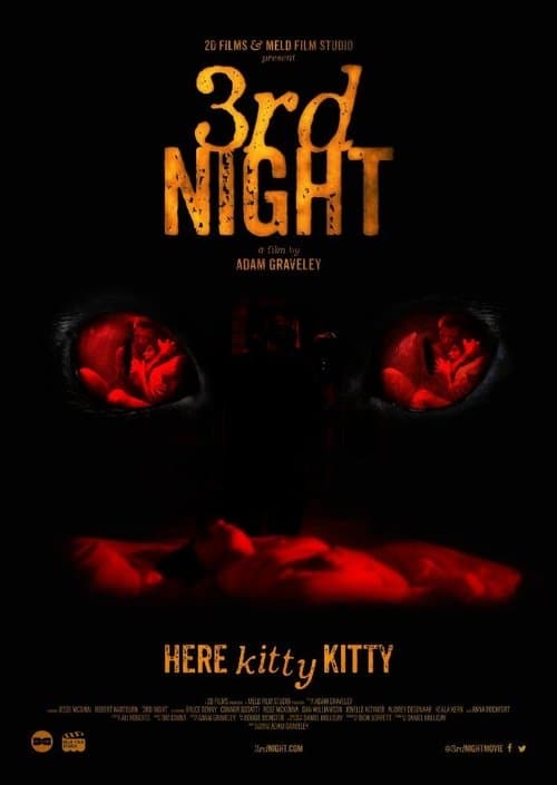 3rd Night — poster