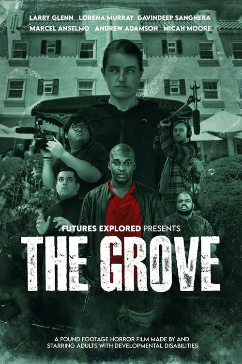 The Grove — poster
