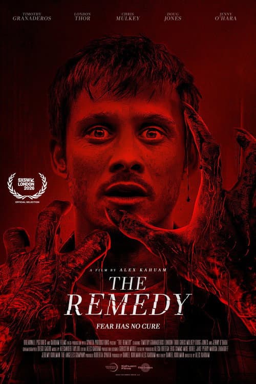 The Remedy — poster