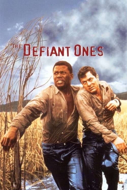 The Defiant Ones — poster