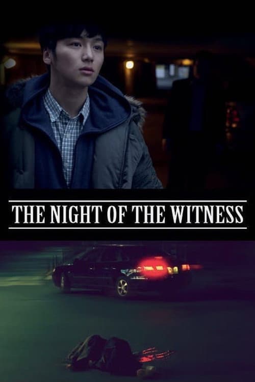 The Night of the Witness — poster