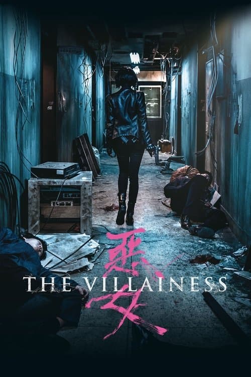 The Villainess — poster