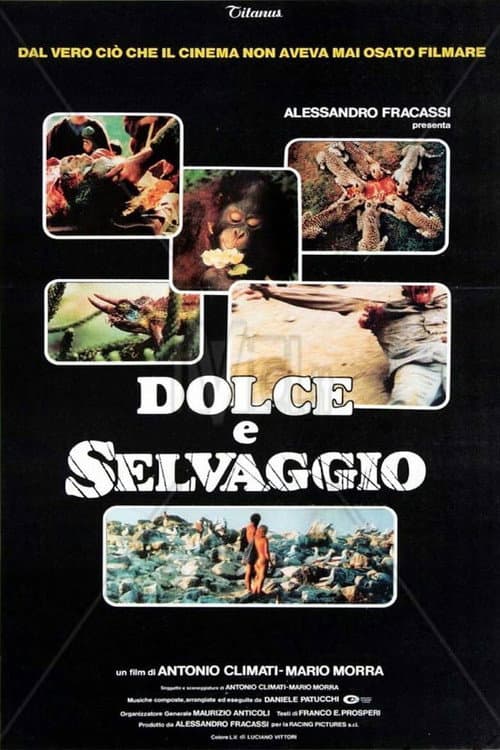 Sweet and Savage — poster