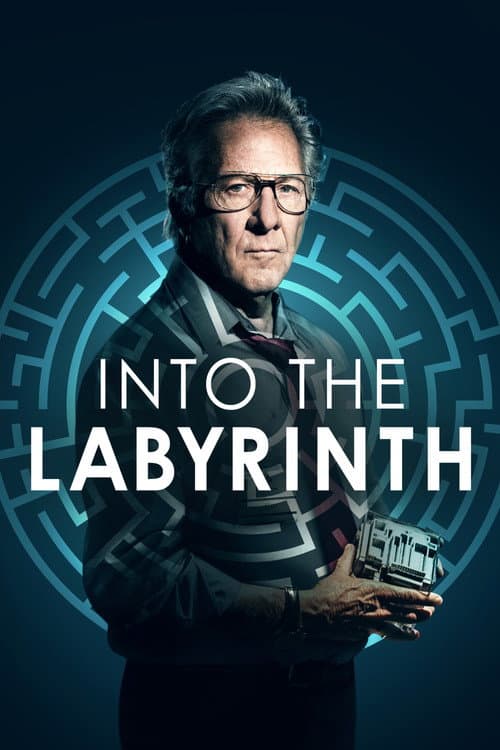 Into the Labyrinth — poster
