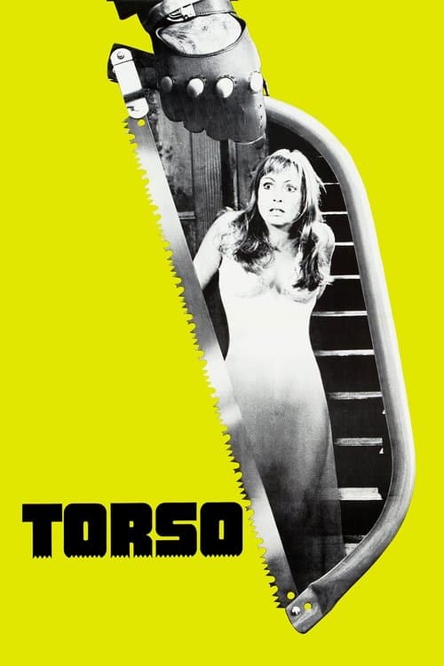 Torso — poster