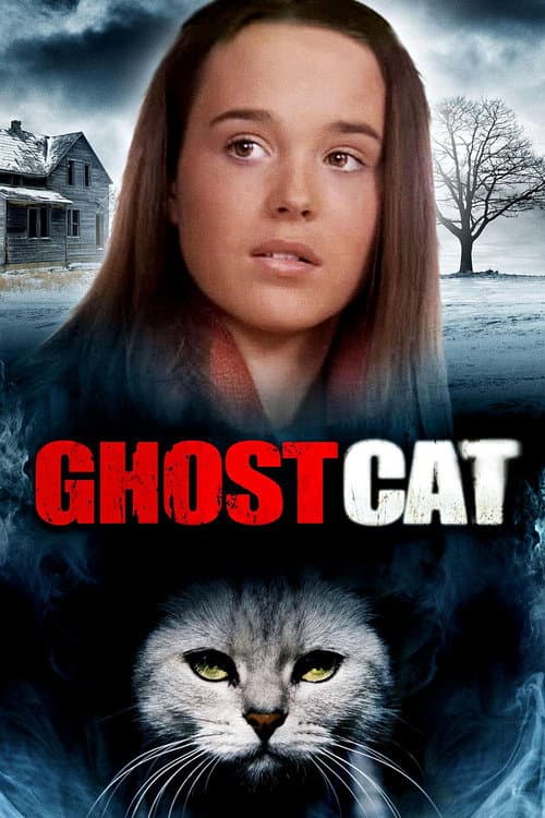 Mrs. Ashboro's Cat — poster