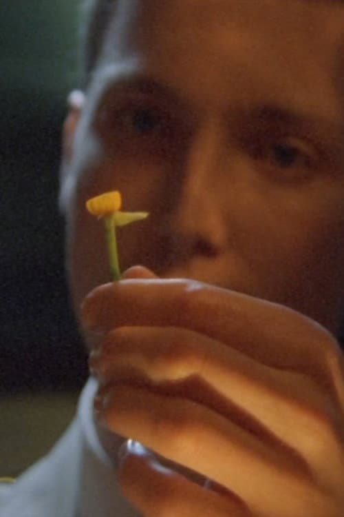 The Man Who Loved Flowers — poster