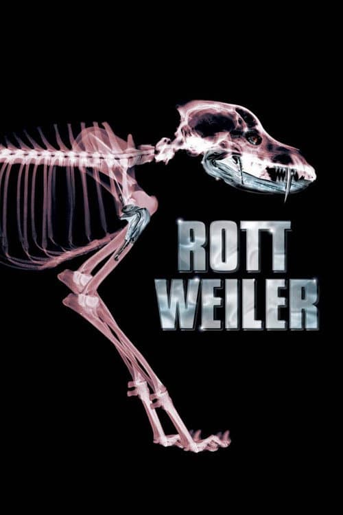 Rottweiler — poster