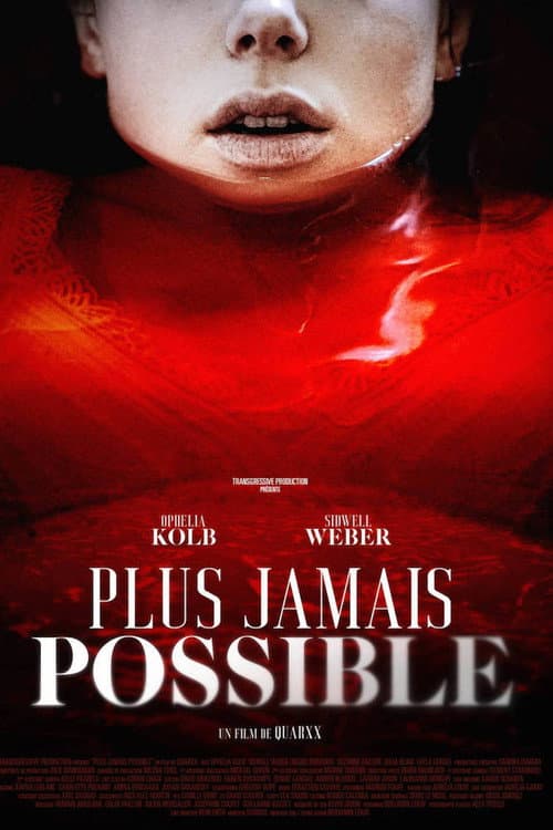 Plus jamais possible — poster