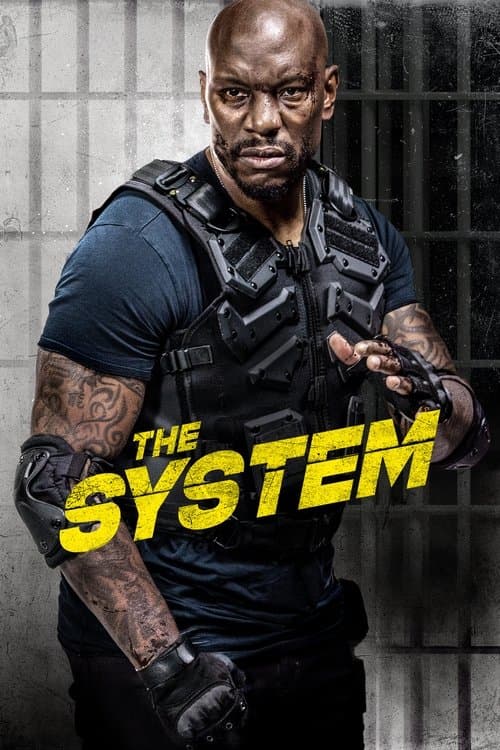The System — poster