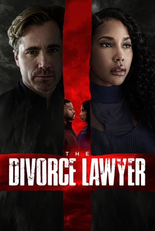 The Divorce Lawyer — poster