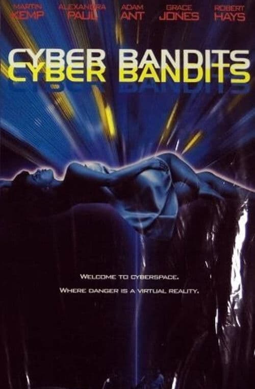 Cyber Bandits — poster