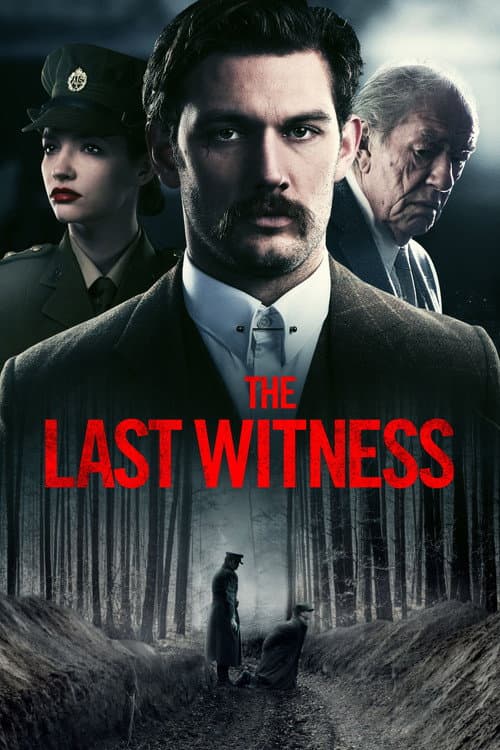 The Last Witness — poster