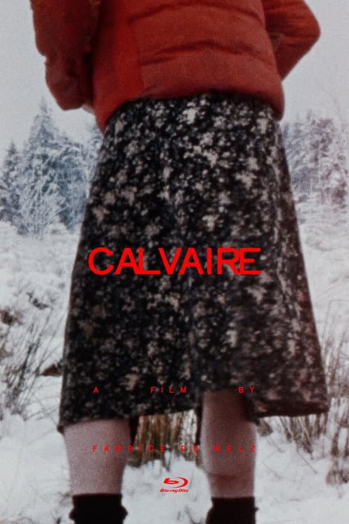 Calvaire — poster
