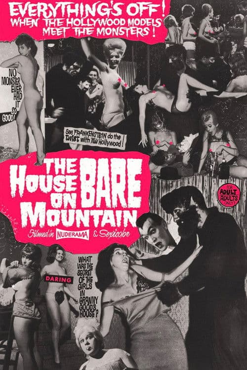 House on Bare Mountain — poster