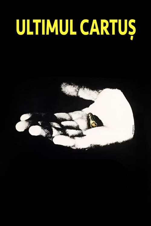 The Last Bullet — poster