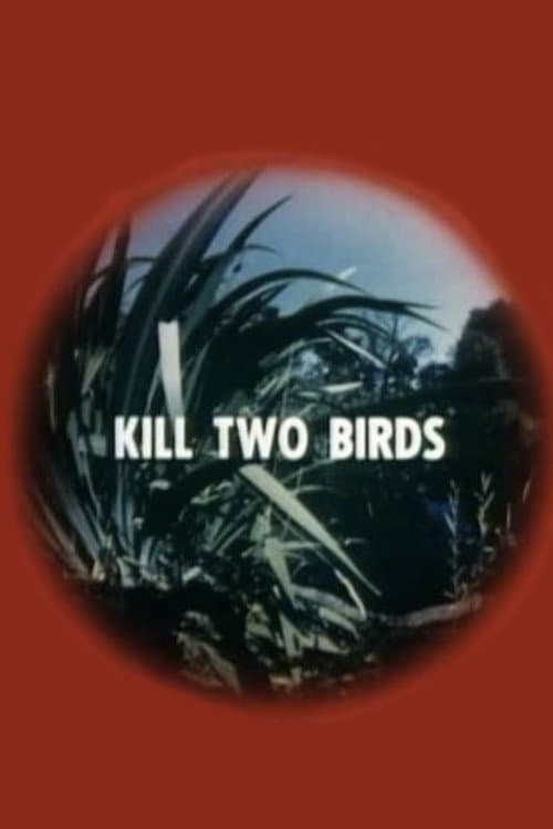 Kill Two Birds — poster