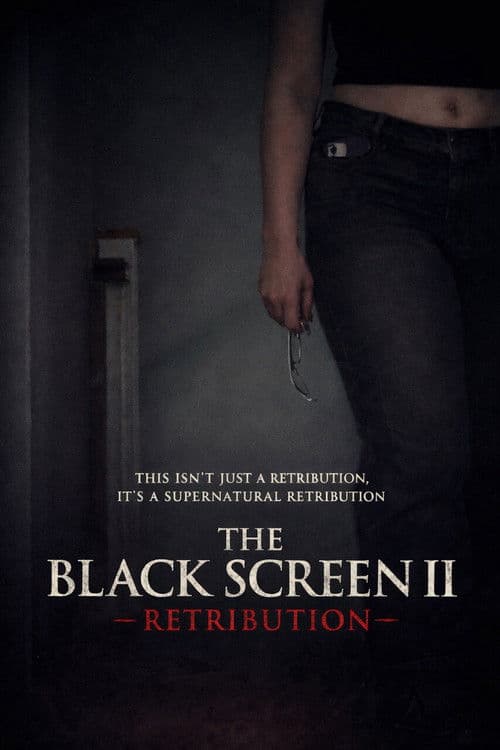 The Black Screen II - Retribution — poster