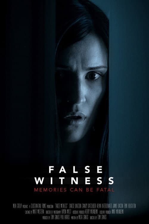 False Witness — poster