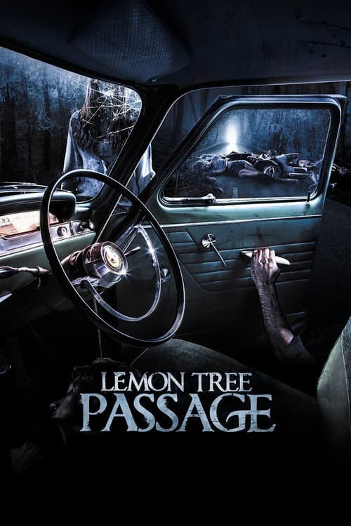 Lemon Tree Passage — poster