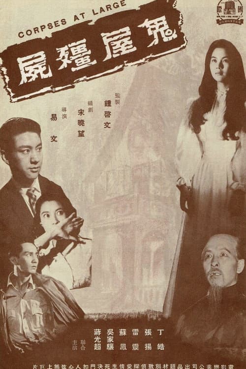 Zombie in a Haunted House — poster