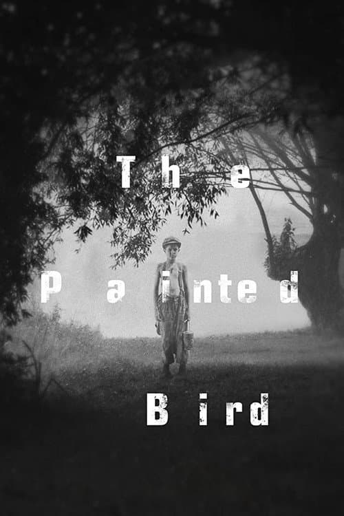 The Painted Bird — poster