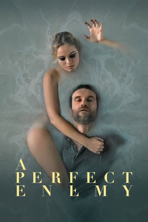 A Perfect Enemy — poster