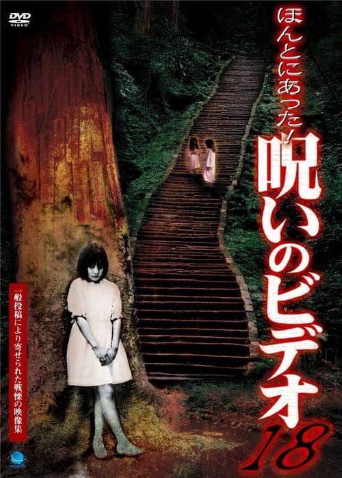 Honto Ni Atta! Noroi No Video 18 — poster