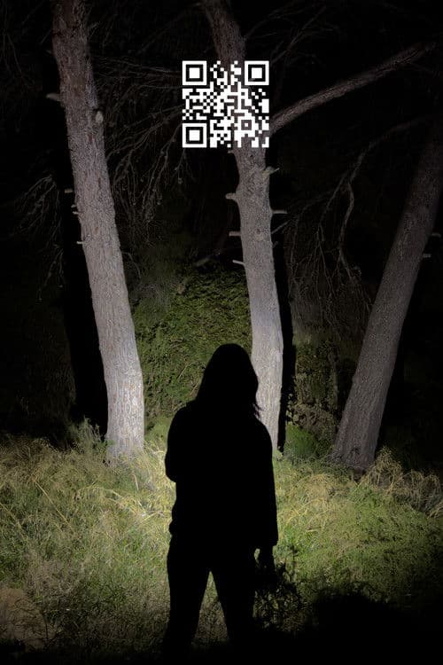 Q.R. — poster