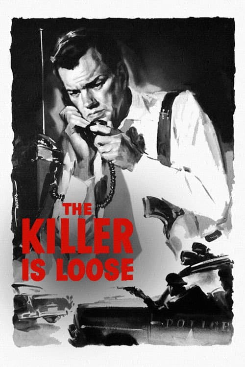 The Killer Is Loose — poster