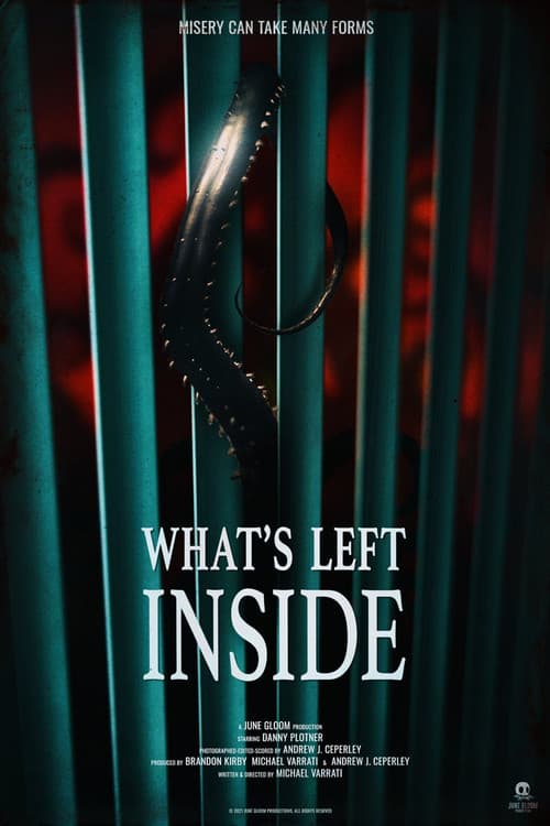 What's Left Inside — poster