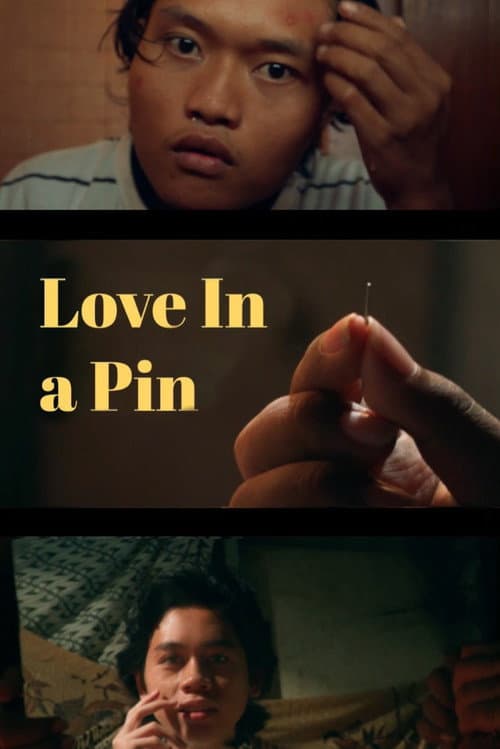 Love In A Pin — poster