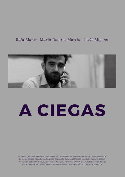 A ciegas — poster