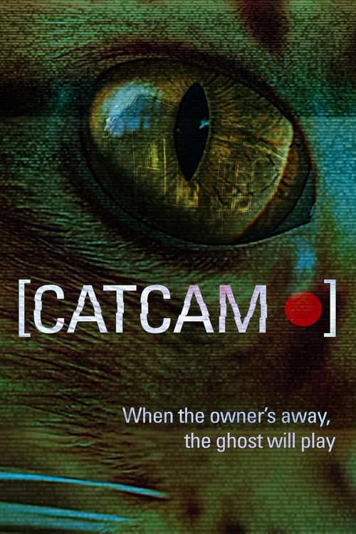 Cat Cam — poster