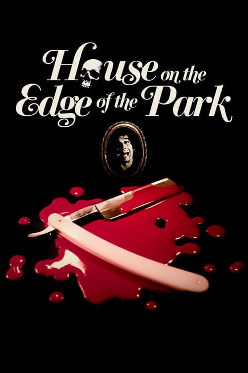 House on the Edge of the Park — poster