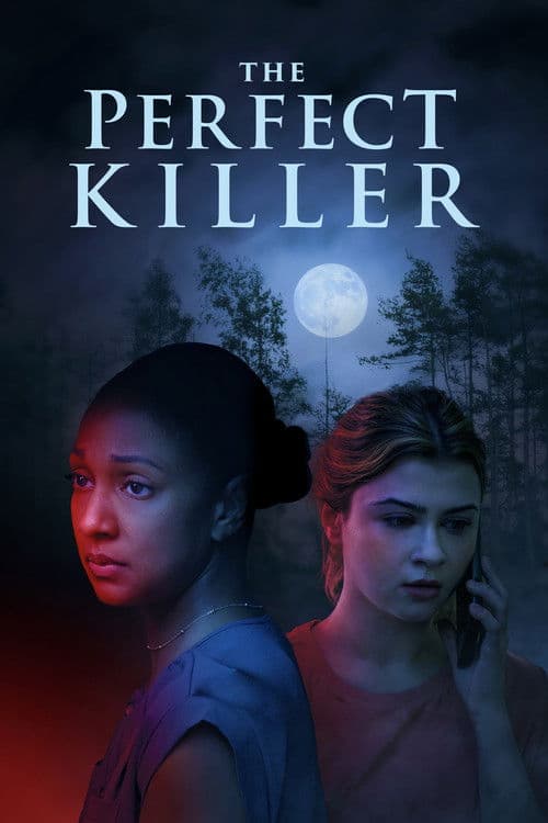 The Perfect Killer — poster