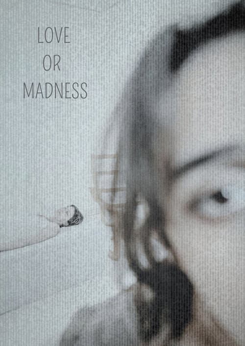 LOVE OR MADNESS — poster