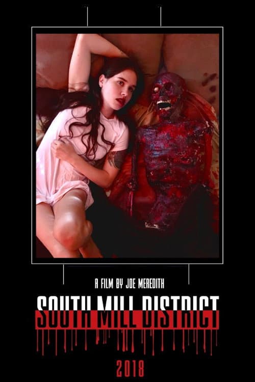 South Mill District — poster