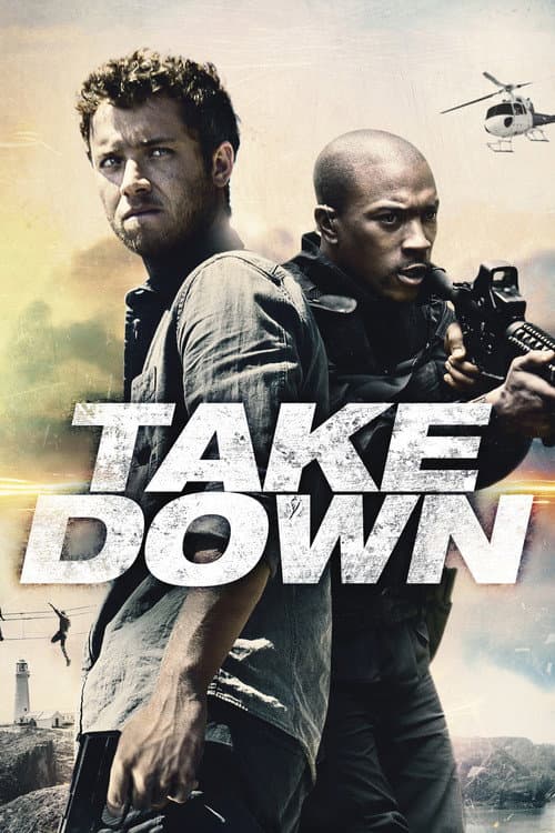 Take Down — poster