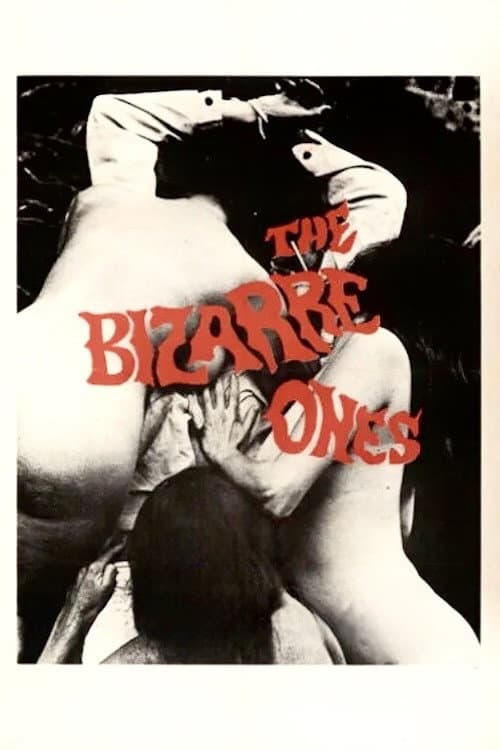 The Bizarre Ones — poster