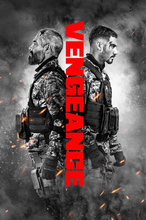 Vengeance — poster