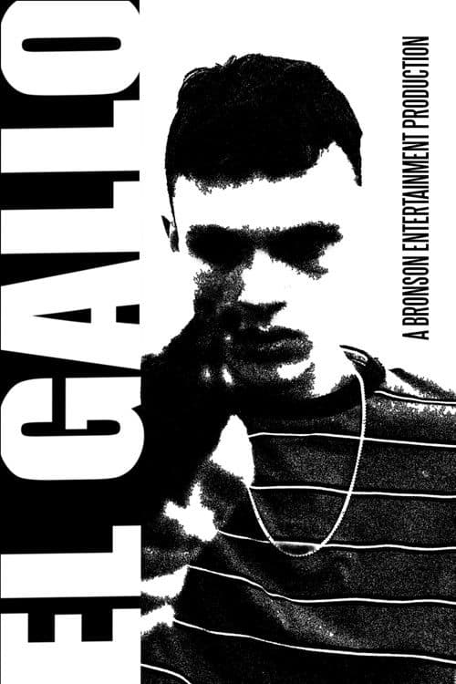 The Rooster — poster