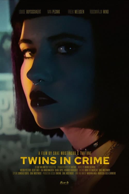 Twins in Crime — poster